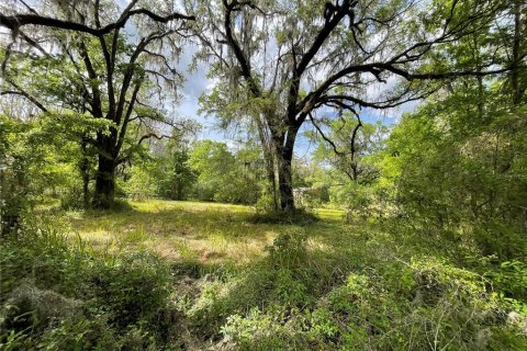 Terreno en venta en Reddick, Florida № 1584152 - foto 26