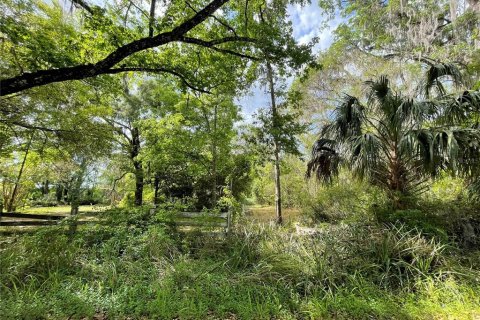 Terreno en venta en Reddick, Florida № 1584152 - foto 8