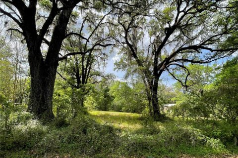 Terreno en venta en Reddick, Florida № 1584152 - foto 10