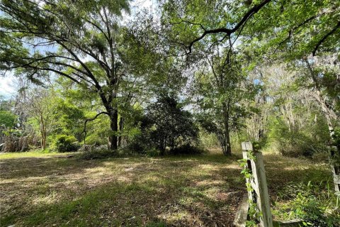 Terreno en venta en Reddick, Florida № 1584152 - foto 29