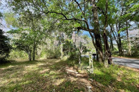 Terreno en venta en Reddick, Florida № 1584152 - foto 16