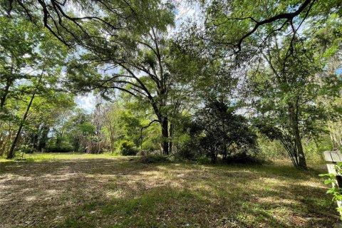 Terreno en venta en Reddick, Florida № 1584152 - foto 28