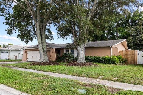 Villa ou maison à vendre à Seminole, Floride: 3 chambres, 188.78 m2 № 2339598 - photo 3