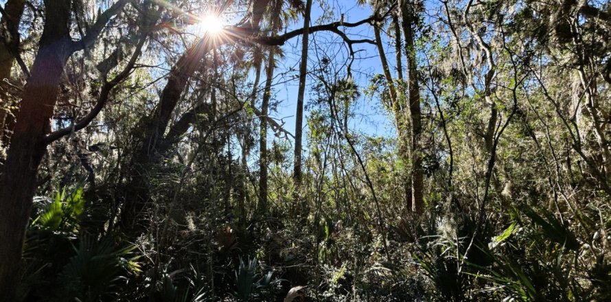 Terrain à Jacksonville, Floride № 877856