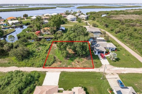 Terrain à vendre à Punta Gorda, Floride № 1813622 - photo 16