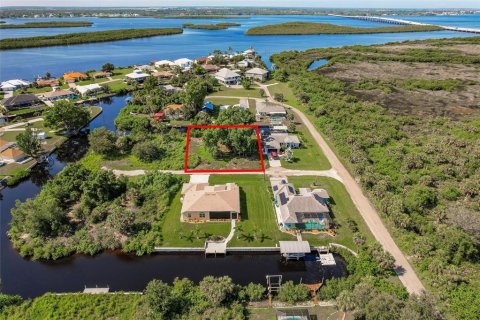 Terrain à vendre à Punta Gorda, Floride № 1813622 - photo 4