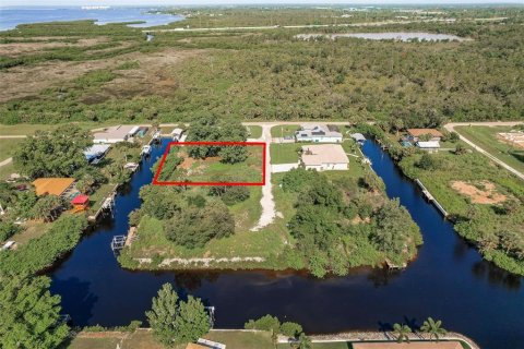 Terrain à vendre à Punta Gorda, Floride № 1813622 - photo 6