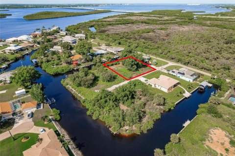 Terrain à vendre à Punta Gorda, Floride № 1813622 - photo 5