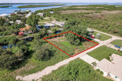 Terrain à vendre à Punta Gorda, Floride № 1813622 - photo 15