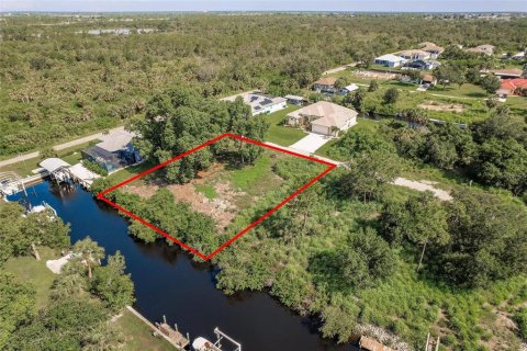 Terrain à vendre à Punta Gorda, Floride № 1813622 - photo 14