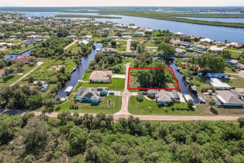 Terrain à vendre à Punta Gorda, Floride № 1813622 - photo 2