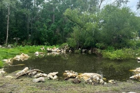Land in Perry, Florida № 1870382 - photo 2