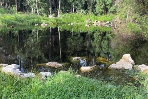Land in Perry, Florida № 1870382 - photo 1