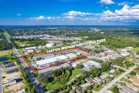 Commercial property in Tarpon Springs, Florida № 2215034 - photo 8