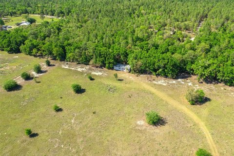Land in Newberry, Florida № 1649329 - photo 4