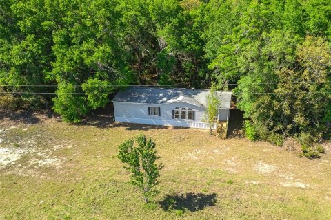 Land in Newberry, Florida № 1649329 - photo 6