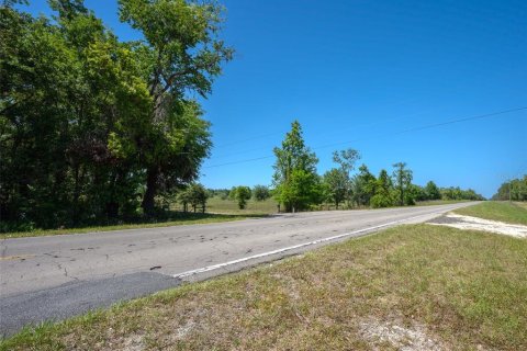 Land in Newberry, Florida № 1649329 - photo 15