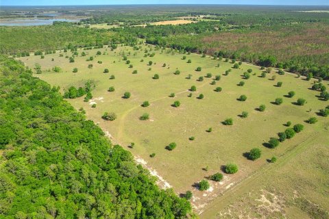 Land in Newberry, Florida № 1649329 - photo 8