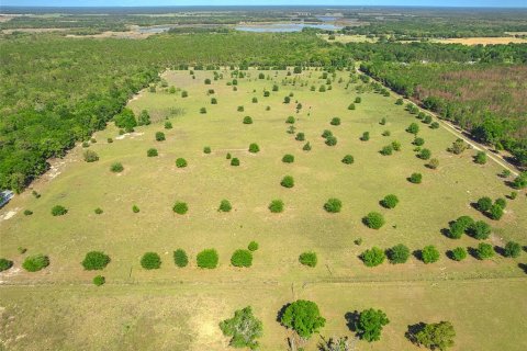 Land in Newberry, Florida № 1649329 - photo 9