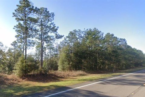 Land in Milton, Florida № 1831998 - photo 4