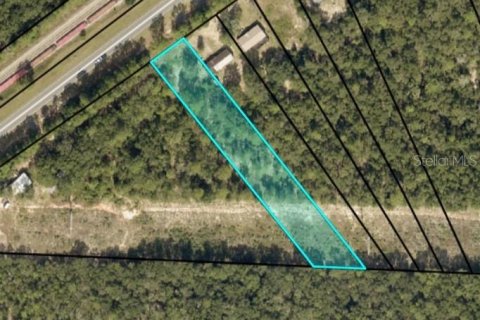 Land in Milton, Florida № 1831998 - photo 3