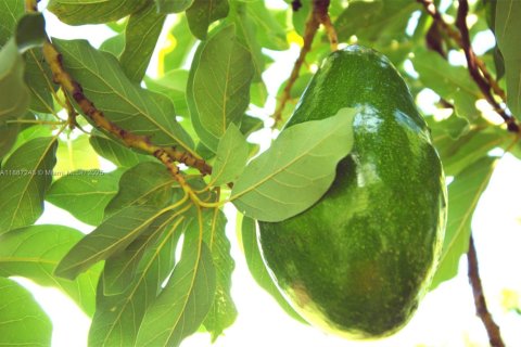 Купить виллу или дом в Хомстед, Флорида 2 спальни, 82.59м2, № 2037889 - фото 11