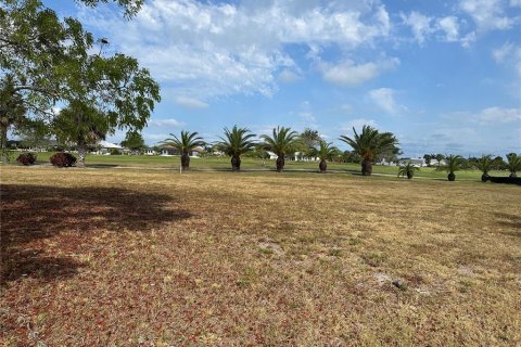 Terrain à vendre à Punta Gorda, Floride № 1555921 - photo 22