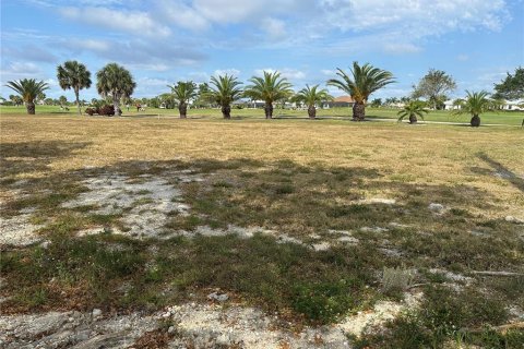 Terrain à vendre à Punta Gorda, Floride № 1555921 - photo 23