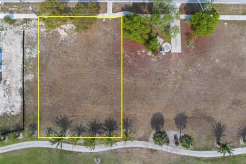 Land in Punta Gorda, Florida № 1555921 - photo 20