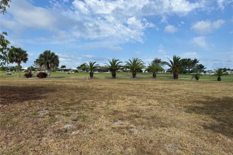 Land in Punta Gorda, Florida № 1555921 - photo 24