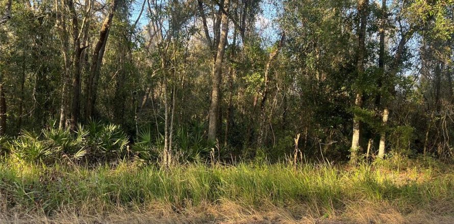 Land in Webster, Florida № 1734147