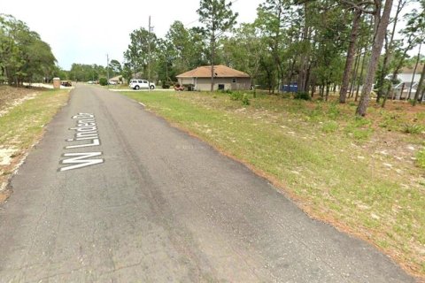 Land in Citrus Springs, Florida № 2159296 - photo 5