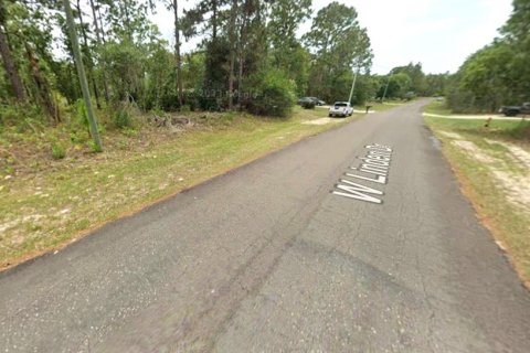 Land in Citrus Springs, Florida № 2159296 - photo 4