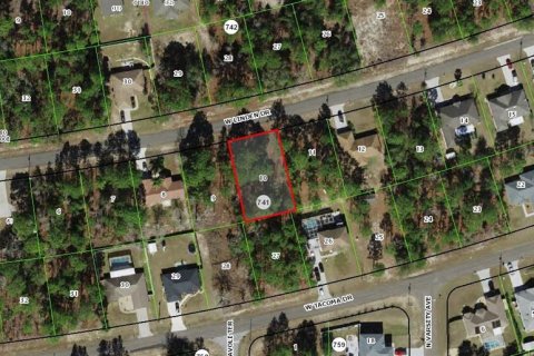 Land in Citrus Springs, Florida № 2159296