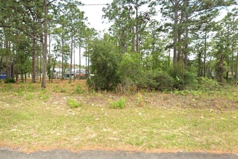 Land in Citrus Springs, Florida № 2159296 - photo 6