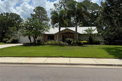 Villa ou maison à vendre à Palm Harbor, Floride: 4 chambres, 256.41 m2 № 2139685 - photo 3