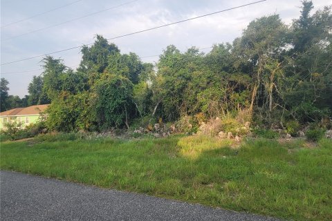 Terrain à vendre à Ocala, Floride № 2258698 - photo 4