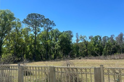 Terreno en venta en Wesley Chapel, Florida № 2166451 - foto 4