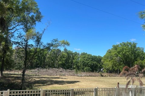 Terreno en venta en Wesley Chapel, Florida № 2166451 - foto 2