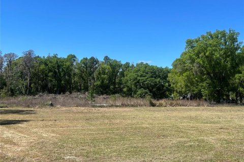 Terreno en Wesley Chapel, Florida № 2166451