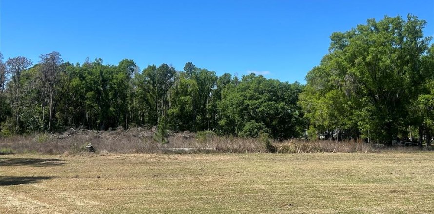 Terreno en Wesley Chapel, Florida № 2166451
