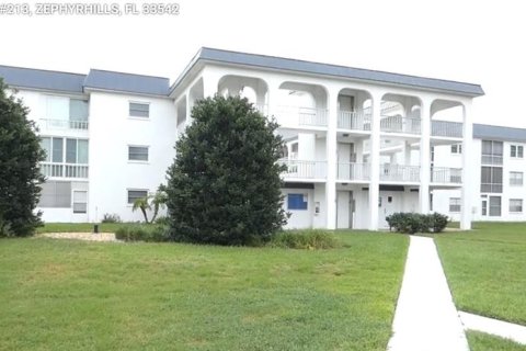 Condo à Zephyrhills, Floride, 2 chambres № 2226104