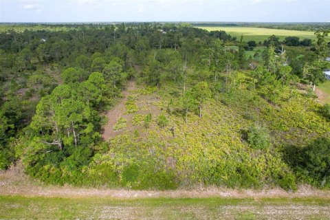 Land in Punta Gorda, Florida № 1780280 - photo 10