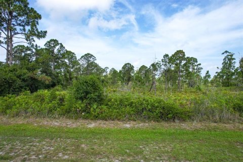 Land in Punta Gorda, Florida № 1780280 - photo 12