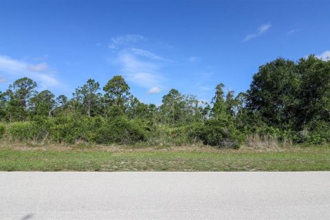 Land in Punta Gorda, Florida № 1780280 - photo 6