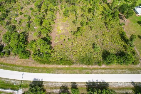 Land in Punta Gorda, Florida № 1780280 - photo 8