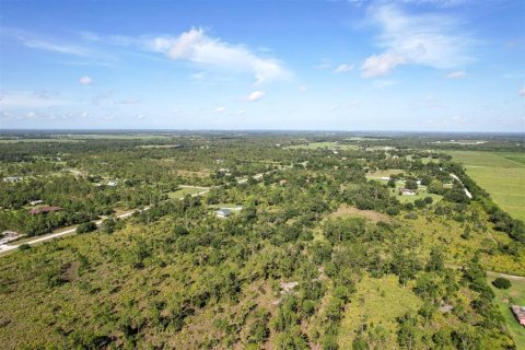 Land in Punta Gorda, Florida № 1780280 - photo 13