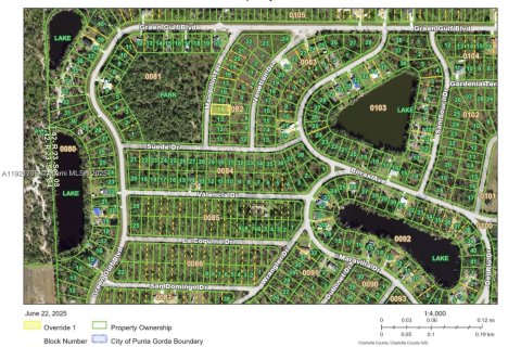 Land in Punta Gorda, Florida № 2158566 - photo 1