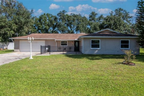 Villa ou maison à Brandon, Floride 3 chambres, 149.94 m2 № 2344607