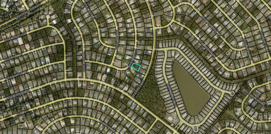 Terrain à Palm Coast, Floride № 2098813